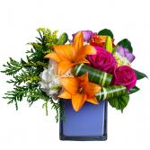 Rainbow Kisses Arrangement