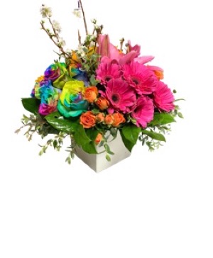 Rainbow love 