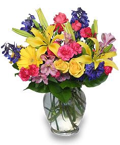 RAINBOW OF BLOOMS