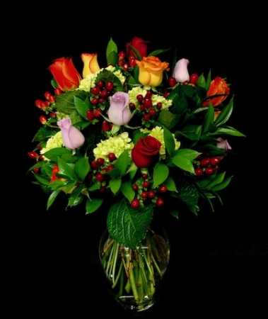 Rainbow of Color Multi Colored Rose Mix