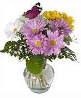 Rainbow of Daisies Vase FHF-GW59 Fresh Vase Arrangement (local delivery only)