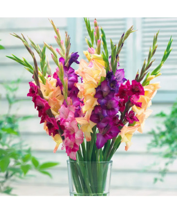 Rainbow of Gladiolus Vased Floral Arrangement in Saskatoon, SK | QUINN & KIM'S FLOWERS Rainbow of Gladiolus Vased Floral Arrangement in Saskatoon, SK | QUINN & KIM'S FLOWERS