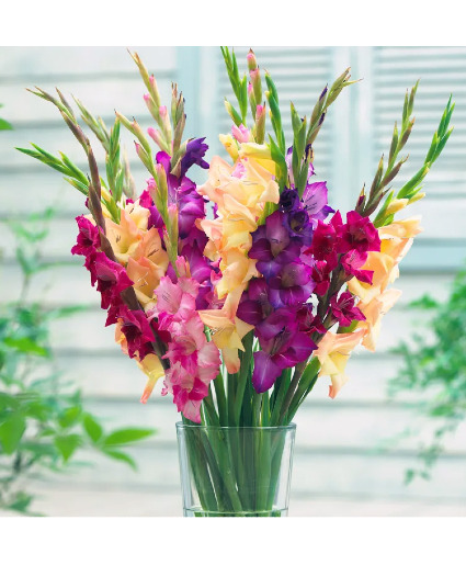 Rainbow of Gladiolus Vased Floral Arrangement