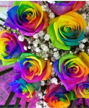 Rainbow of Love Rainbow roses 