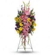 Rainbow of Remembrance Spray