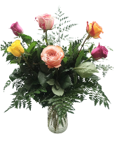 Rainbow of Roses Valentine's Day Arrangement