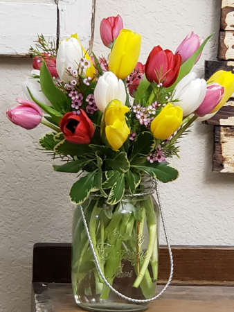 Rainbow of Tulips