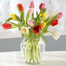 Rainbow of tulips Vase Arrangement