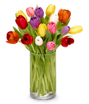 RainBow of Tulips  Vase Arrangement