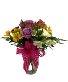 Rainbow Pop- SUMMER SPECIAL Fresh Cut Arrangement
