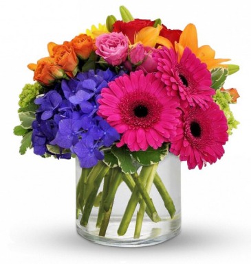 Rainbow Radiance in Whittier, CA | Rosemantico Flowers Rainbow Radiance in Whittier, CA | Rosemantico Flowers