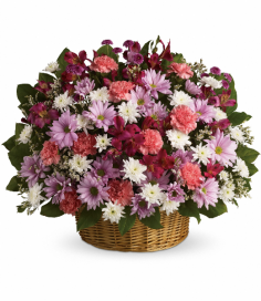 Category Image