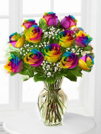 Rainbow Romance Roses
