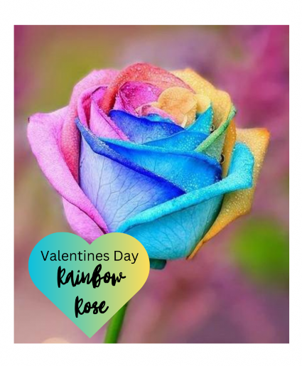 Rainbow Rose 