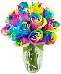 Rainbow Rose Dozen Valentine Day Arrangement