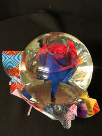 Rainbow Rose In A Globe