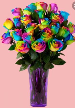 Rainbow roses  2 doz rainbow roses 