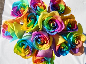 RAINBOW, BLUE or  BLACK ROSES Specify color 
