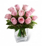 Pink low and square Rose's Roses