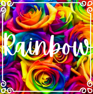 Rainbow Roses 
