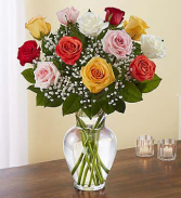 One Dozen Rainbow Roses 