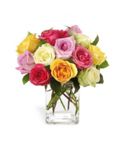 Rainbow Roses