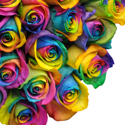 Rainbow Roses Available in Half Dozen, Dozen & Two Dozen