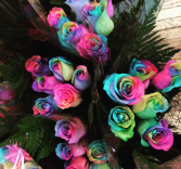 Rainbow Roses - half dozen Fresh Cut Bouquet