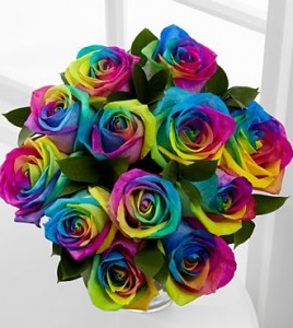 Rainbow Roses Loose or In A Vase