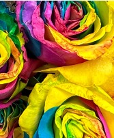 Rainbow Roses One Dozen 