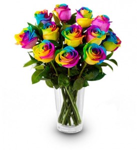 Rainbow Roses Rainbow Roses