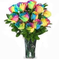 Rainbow Roses -shown 1 doz $85.00 vased available starting 6/14