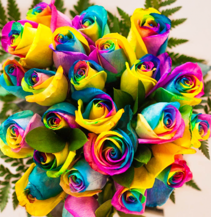 Rainbow Roses--Valentine Week Only Roses