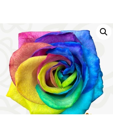 Rainbow Roses Roses available 2/11 local delivery area only in Bristol, CT | DONNA'S FLORIST & GIFTS