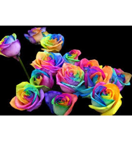 Rainbow Roses Roses Vased