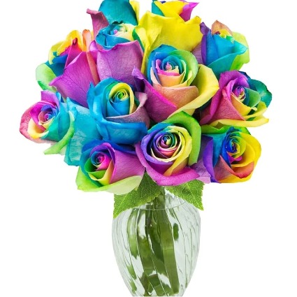 Rainbow Roses Valentines