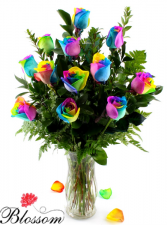 Rainbow Roses  Valentine's Day 