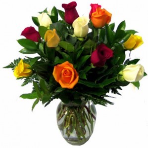 RAINBOW 12 ROSES 12, 18 AND 24 ROSES in Cape Coral, FL | ENCHANTED FLORIST OF CAPE CORAL RAINBOW 12 ROSES 12, 18 AND 24 ROSES in Cape Coral, FL | ENCHANTED FLORIST OF CAPE CORAL