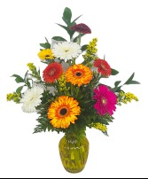 RAINBOW SENTIMENTS  VASE ARRANGEMENT 