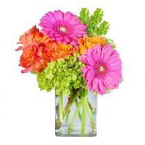 Rainbow Sherbet Arrangement