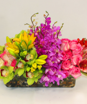 Rainbow Tropical Modern in Wilton Manors, FL | LA FLEUR FLORALS & EVENTS Rainbow Tropical Modern in Wilton Manors, FL | LA FLEUR FLORALS & EVENTS