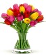 Rainbow Tulip Bouquet 