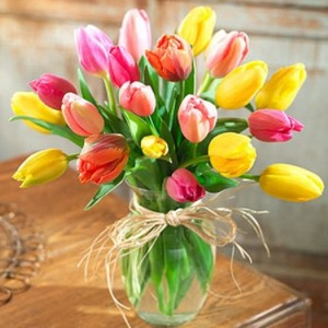 Rainbow Tulip Bouquet Vase Arrangement in Fredericton, NB | GROWER DIRECT FLOWERS LTD
