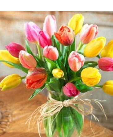 Rainbow Tulip Vase in Fredericton, NB | GROWER DIRECT FLOWERS LTD Rainbow Tulip Vase in Fredericton, NB | GROWER DIRECT FLOWERS LTD