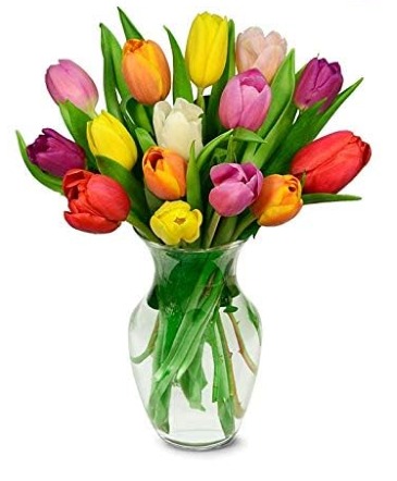 Grower Direct Flowers Ltd Your Local