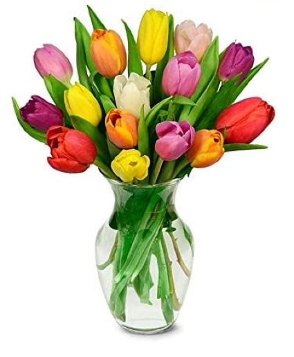Rainbow Tulip Vase Vase arrangement