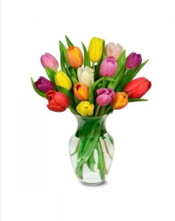 Rainbow Tulips Tulip Arrangement