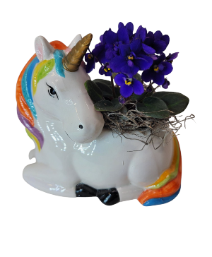 Rainbow Unicorn Planter Violet Plant
