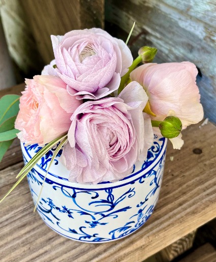 RANUNCULUS Daily Special