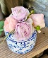 RANUNCULUS  Daily Special 